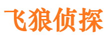 东平侦探